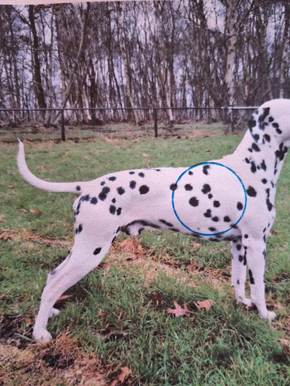 You're in my heart, 101